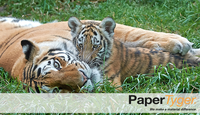 PaperTyger Sample Image 